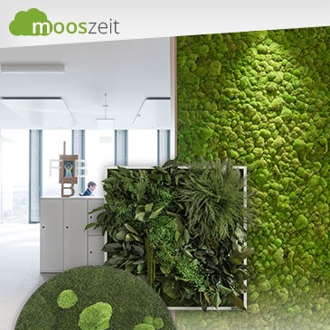 raumzeit_kategorien_mooszeit.jpg 