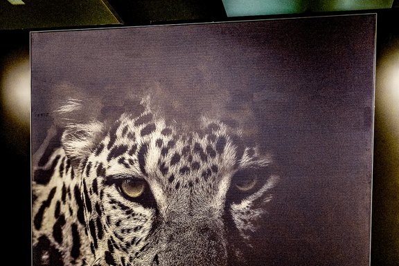 Spanndrahmen, Schwarz, Drucktiefe