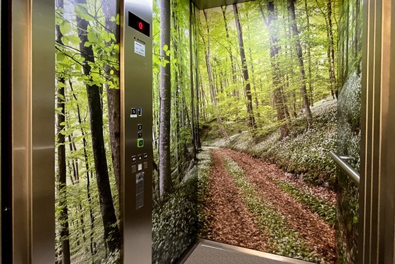 Liftbeschichtung, Lift, Folie, Druck, Wald, Bilder