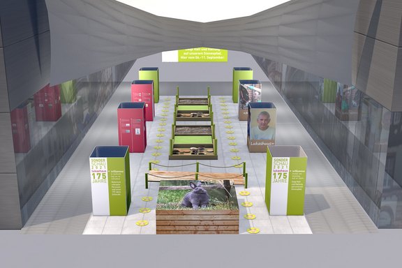 Lukashaus Sonderschau Visual Spezial, Cineam 4D, Sonderschau, Messeauftritt