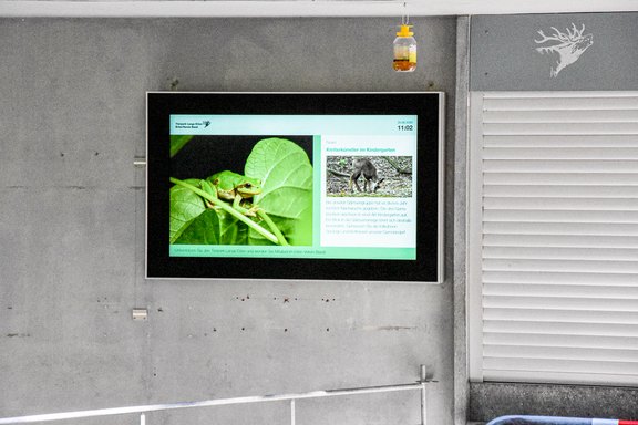 digitale Werbung, Bildschirmanzeige