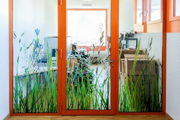 Schulanlage, Sichtschutz, Folie, bedruckt