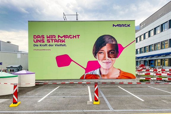 Fassadenverkleidung, Platten, mehrteilig