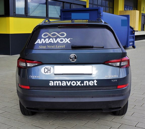 AMAVOX_Skoda_Kodiaq__3_.JPG 