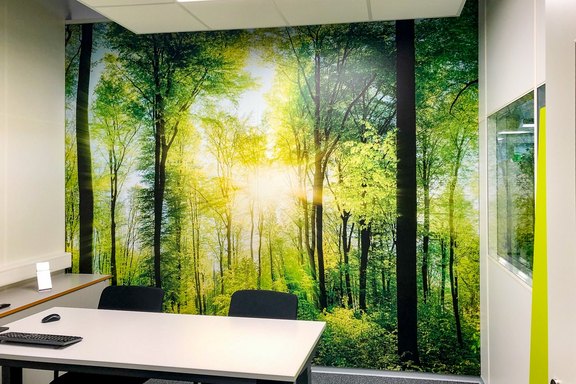 Sitzungszimmer, Plattendruck, Dschungel, Bilder