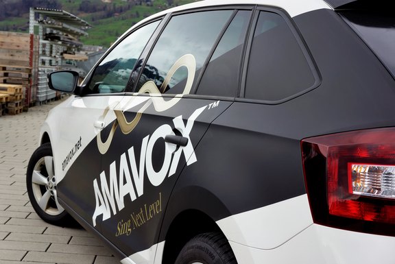 AMAVOX_Skoda_Rapid__3_.JPG 