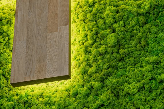 Mooswand, Detail Mooswand, Detail